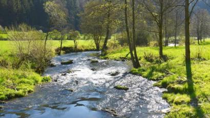 Bild: Günter Moser
Die Lauterach ist ein Naturidyll.