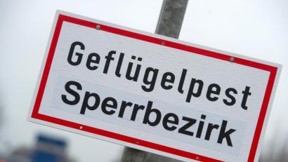 Bild: Stefan Sauer/dpa
Die Sperrbezirke wurden bereits aufgehoben. Nun werden weitere Maßnahmen zurückgefahren.