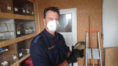 Bild: Verkehrspolizei Amberg/exb
In Sicherheit: Die Polizei brachte den vermutlich angefahrenen Turmfalken in die Tierauffangstation in Kümmersbuch.