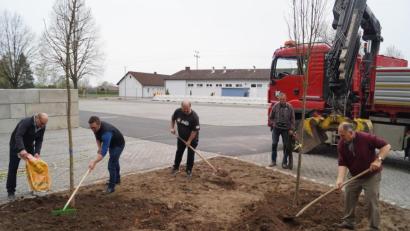 Bild: du
Mitglieder des Obst- und Gartenbauvereins und des OWV Schirmitz pflanzen am Rand des neu angelegten Parkplatzes am SpVgg-Sportheim (im Hintergrund) und des neuen Fahrsilos aus Betonblocksteinen (links, hinten) insgesamt vier heimische Bäume zur Klimaverbesserung und Aufwertung des Ortsbildes.