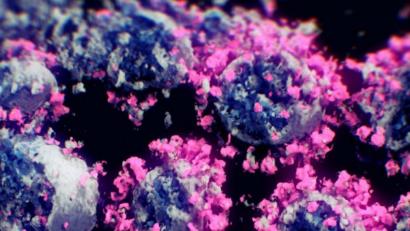 Bild: Peter Mindek/Nanographics/apa/dpa 
Das Symbolbild zeigt eine 3-D-Abbildung von Coronaviren.