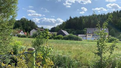 Bild: Nina Forster/exb
Am und im Hausener Bach soll eine Kneippanlage entstehen. Der Gemeinderat Ursensollen begrüßt dieses Vorhaben.