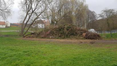 Bild: rti
Dort, wo bisher die Grüngut-Sammelstelle beim Regenüberlaufbecken am Ortsrand von Bad Neualbenreuth angelegt war, soll künftig eine Blühfläche entstehen.