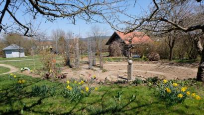 Bild: le
Der Kreislehrgarten in Floß wurde am 2. Juli 1995 eingeweiht und ist heute zu einer überregional wichtigen kulturellen Einrichtung geworden.