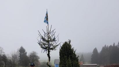 Bild: Siegfried Walter/exb
Der Maibaum im Mitteldorf.