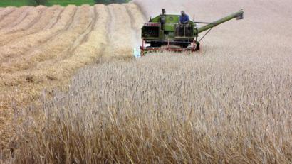 Symbolbild: Gerhard Götz
Ein Einzelkämpfer, der vor vielen Herausforderungen steht und mangels Wertschätzung in eine Sinnkrise gerät: Dieses Bild eines Landwirts deckt sich nicht mit der Klischee-Vorstellung von einem grünen Beruf, trifft aber immer öfter zu.