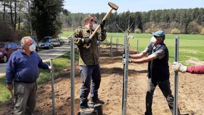 Bild: OGV Michelfeld/exb
Alte Obstsorten, in der Mehrheit Äpfel, hat der Obst- und Gartenbauverein Michelfeld für die Streuobstwiese am Schafsteg bei Nasnitz ausgesucht.