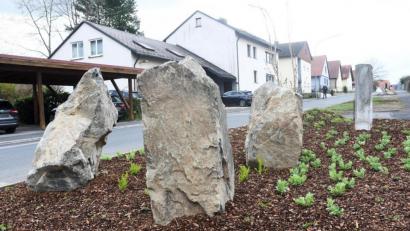 Bild: Gabi Schönberger
Zwischen die Felsbrocken, die noch vom Tunnelbau übrig waren, wird in der Gramaustraße demnächst ein Apfelbaum gepflanzt.