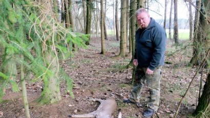 Bild: do
Ein wildernder Hund ließ dem Reh im Tremmersdorfer Jagdrevier von Thomas Walter keine Chance.