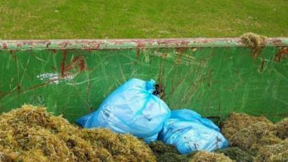 Bild: Ulrike Meixner/exb
Immer wieder wird Hausmüll in die Grüngutcontainer geworfen.