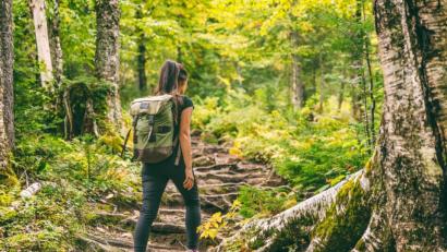 Bild: Maridav – stock.adobe.com
Ein Spaziergang im Wald tut Körper und Seele gut.