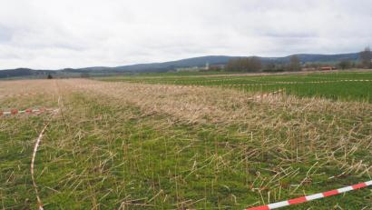 Bild: ws
Die Ziegler-Group ist bereits Besitzer der Fläche „Am langen Rain“.