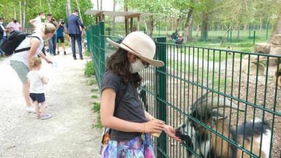 Bild: Hirsch
"Ziegen füttern" macht den Kindern immer wieder Spaß. Seit Montag ist das im Tier- und Freizeitpark "Höllohe" wieder möglich.