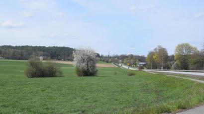 Bild: fz
Die Bundesstraße 22. Rechts davon Bechtsrieth, links Trebsau. Eine Trasse hier würde die Gemeinde noch mehr spalten und weitere Entwicklungsmöglichkeiten verhindern, ist sich Bürgermeister Markus Ziegler sicher.
