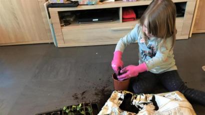 Bild: do
Hokkaido-Kürbispflänzchen züchten Nele und Nicole Reichert heran, um den Verein der Kinderkrebshilfe in der Region Oberpfalz Nord zu unterstützen