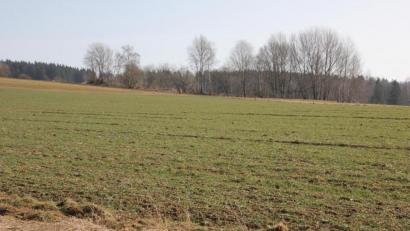 Bild: kro
Am Poppenreuther Berg beginnen am Montag die Arbeiten für den Bau einer neuen Wasserverbindungsleitung von Mähring nach Poppenreuth.
