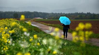 Bild: Petra Hartl
Auch in der neuen Woche zieht es sich. Immerhin bleibt es eher beim Schauerwetter, als beim Dauerregen.