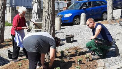 Bild: rfi
Gemeinsam mit einem Team aus Tännesberger Bürgern nahm Projektmanager Johannes Weinberger (rechts) die Neubepflanzung im Bereich des oberen Marktplatzes vor.