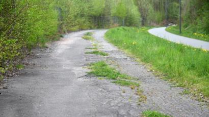 Bild: Gabi Schönberger
Neben dem Bocklradweg (rechts) führt ein verwildernder Weg zum ehemaligen Tritschler-Gelände. Der wird jetzt gesperrt.