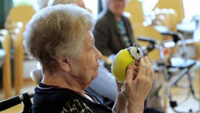 Bild: Wolfgang Steinbacher
Heimische Gartenvögel ganz nah: Das LBV-Projekt "Alle Vögel sind schon da" für Senioren macht das möglich. Auch mit Plüsch-Vögeln, die diesselbe Gefieder-Färbung wie ihre lebendigen Vorbilder haben und sogar zwitschern wie diese.