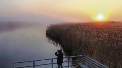 Bild:  Thomas Warnack/dpa
Mystische Stimmung am Federsee: Der Blick fällt über das scheinbar endlose Schilf und verliert sich am Horizont.