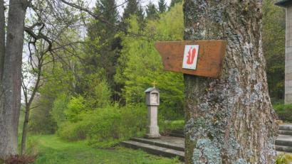 Bild: exb
Die Wanderer finden rund um Bärnau einen Eichhörnchenweg: Der ist auch in der neuen Wanderkarte verzeichnet.