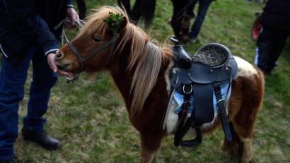 Symbolbild: Vassil Donev
Ab 2024 wird es in München auf der Wiesn und bei anderen Volksfesten auf städtischen Flächen kein Ponyreiten mehr geben.