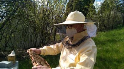 Bild: exb
Der Bienenzuchtverein Sulzbach-Rosenberg besteht seit 150 Jahren.