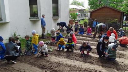Bild: Dobmeier
Mit Gummistiefel und Schaufeln machten sich unter Anleitung der "Gemüse-Ackerdemie" die Kinder in St. Markus auf den Acker, um verschiedene Gemüsesorten zu pflanzen.