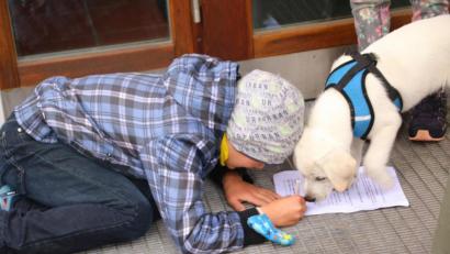 Bild: fvo
Auch Labrador „Hetfield“ hat bei der Waldthurner Marktrallye seine Freude, er begleitete sein Herrchen Toni Simmerl aus Remmelberg und überprüfte ganz genau, ob dieser richtig antwortet.