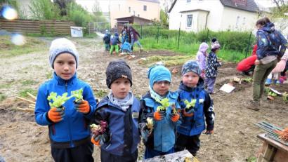 Bild: ubb
Die vier kleinen Gemüsebauern haben sich neue Pflänzchen geholt zum Bepflanzen der Beete. Die Buben und Mädchen sind mit viel Freude an der Arbeit.