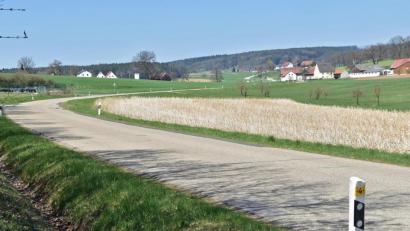 Bild: Andreas Royer
Ob ein kombinierter Geh- und Radweg von Erlheim nach Kleinfalz umsetzbar ist, wird sicherlich auch in einem professionellen Radwegekonzept Berücksichtigung finden.