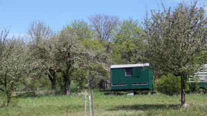 Bild: Florian Lang/exb
Auf dieser Streuobstwiese bei Tännesberg steht ganz im Sinne der Biodiversität auch ein Bienenhaus.