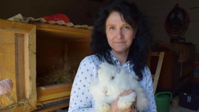 Bild: szl
Doris Scharnagl-Lindinger aus Oberteich bei Mitterteich spinnt Wolle: Sie verarbeitet nicht nur die Schur vom Schaf oder von Lamas, sondern seit kurzem auch die Schur von Angorahasen.