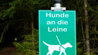 Bild: do
Jagdpächter Thomas Walter versucht es an den Wegen zu seinem Jagdrevier in Tremmersdorf mit einer Gedächtnisauffrischung für alle Hundebesitzer: "Hunde an die Leine" heißt es auf den Hinweisschildern.