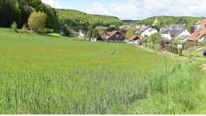 Bild: no
Blick auf die Fläche, auf der am östlichen Ortsrand von Illschwang das Baugebiet „Am Fichtelberg“ entstehen soll.