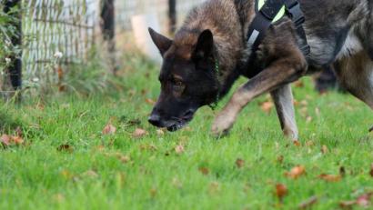 Symbolbild: Marcel Kusch/dpa
Symbolbild