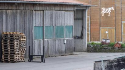 Bild: Daniel Karmann
Außenansicht des Mastbetriebes, in dem die Rinder verendeten. Foto: Daniel Karmann/dpa/Archivbild