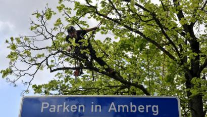 Bild: Petra Hartl
Geparkt wird hier nicht, sondern gearbeitet – an einem ungewöhnlichen Arbeitsplatz, hoch droben in den Bäumen am Altstadt-Ring.