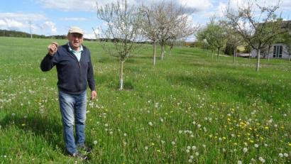 Bild: Helga Kamm
Jakob List in seinem Refugium: 36 Obstbäume am Rande des Dorfes sind wie eine Insel für Arten, die in einer intensiv bewirtschafteten Landschaft keinen Lebensraum mehr finden.