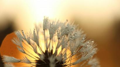 Symbolbild: Matthias Bein/dpa
Ab dem Wochenende, spätestens aber an Fronleichnam, wird es in der Oberpfalz endlich wärmer.
