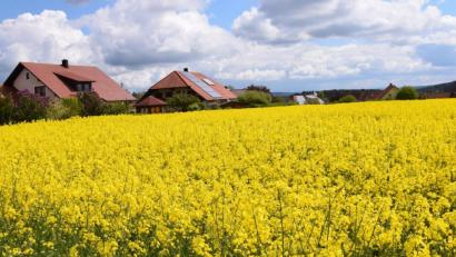 Bild: bö
Derzeit ist hier noch ein knallgelbes Rapsfeld, doch das neue Wohnbaugebiet Barbarafeld in Ebermannsdorf kommt planerisch zügig voran. Voraussichtlich in seiner Juni-Sitzung verabschiedet der Gemeinderat die Ausgestaltung.