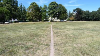 Bild: Gabi Schönberger
Die Bebauung des Turnerbund-Geländes am Hammerweg ist nur eines von mehreren Großprojekten, das die Stadt in den kommenden Jahren anpackt.