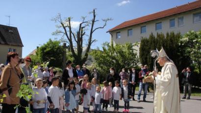 Bild: ads
Vor dem Pontifikalgottesdienst und der anschließenden Einweihung des Haus der Kinder wurde Diözesanbischof Rudolf Voderholzer von den Betreuerinnen der Einrichtung um Leiterin Michaela Neiswirth (links) und den Kindern begrüßt.