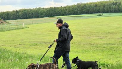 Bild: Josef Wieder
Vorbildlich: Die Hunde sind angeleint. Und die gefüllten Tütchen an der Leine zeigen, dass auch die Hinterlassenschaften der Tiere nicht in der Wiese liegen blieben.