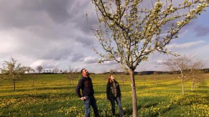 Bild: Portner
Vor der ersten Mahd beherrscht der Löwenzahn die Wiese mit den blühenden Obstbäumen. Martin Mayr und Ehefrau Eva Spießl-Mayr bewirtschaften seit 2010 eine Streuobstwiese am Ortsrand von Hansenried (Gemeinde Neukirchen-Balbini). Die Besonderheit dabei: Jeder der rund 250 Hochstamm-Bäume trägt eine andere Sorte.