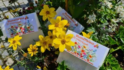 Bild: Bittner/exb
Die Blumensamen sollen das Schönseer Land für die Insekten zum Blühen bringen.