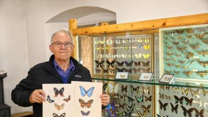 Bild: njn
Im Heimat-und Bergbaumuseum werden dieses Jahr viele verschiedene Schmetterlingsarten gezeigt. Museumsleiter Manfred Klöble freut sich schon auf viele Besucher.