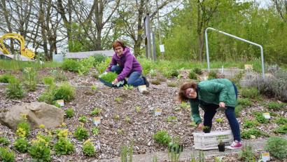 Bild: fjo
Bei den notwendigen Ersatzpflanzungen im Leader-Areal "Dufthang" kann Monika Zeitler-Kals (rechts) auf die Unterstützung von Irmgard Schwarzmeier vertrauen.