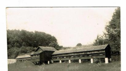 Repro: wku
Das stattliche Bienenhaus von Heinrich Gebhard im Jahre 1961: Es stand in der Nähe des Königsteiner Sportplatzes und bot Platz für 30 bis 35 Bienenvölker. Als gelernter Schreiner fertigte er das Bienenhaus mithilfe seines Vaters und seines Neffen an. Den Honig verkaufte seine Frau Frieda in ihrem Lebensmittelgeschäft (Neukramer). Auch Großhändler waren seine Abnehmer.